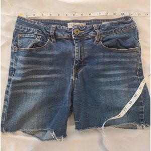 Bullhead Denim co. women's Jean Shorts